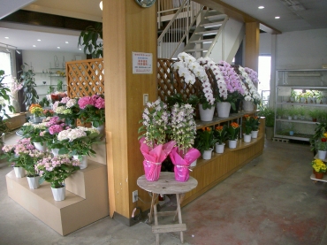 「ＧｒｅｅｎＨｏｕｓｅ　イチカワ」　（埼玉県入間市）の花屋店舗写真3