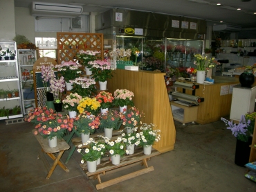 「ＧｒｅｅｎＨｏｕｓｅ　イチカワ」　（埼玉県入間市）の花屋店舗写真4